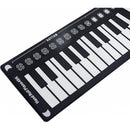 Piano de Enrolar 49 Teclas